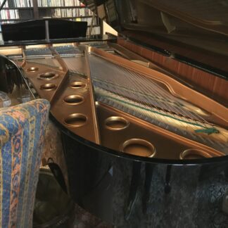 Concert Grand Pianos
