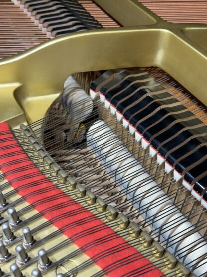 Yamaha Baby Grand for sale by Amadeus Piano Co., L.L.C.