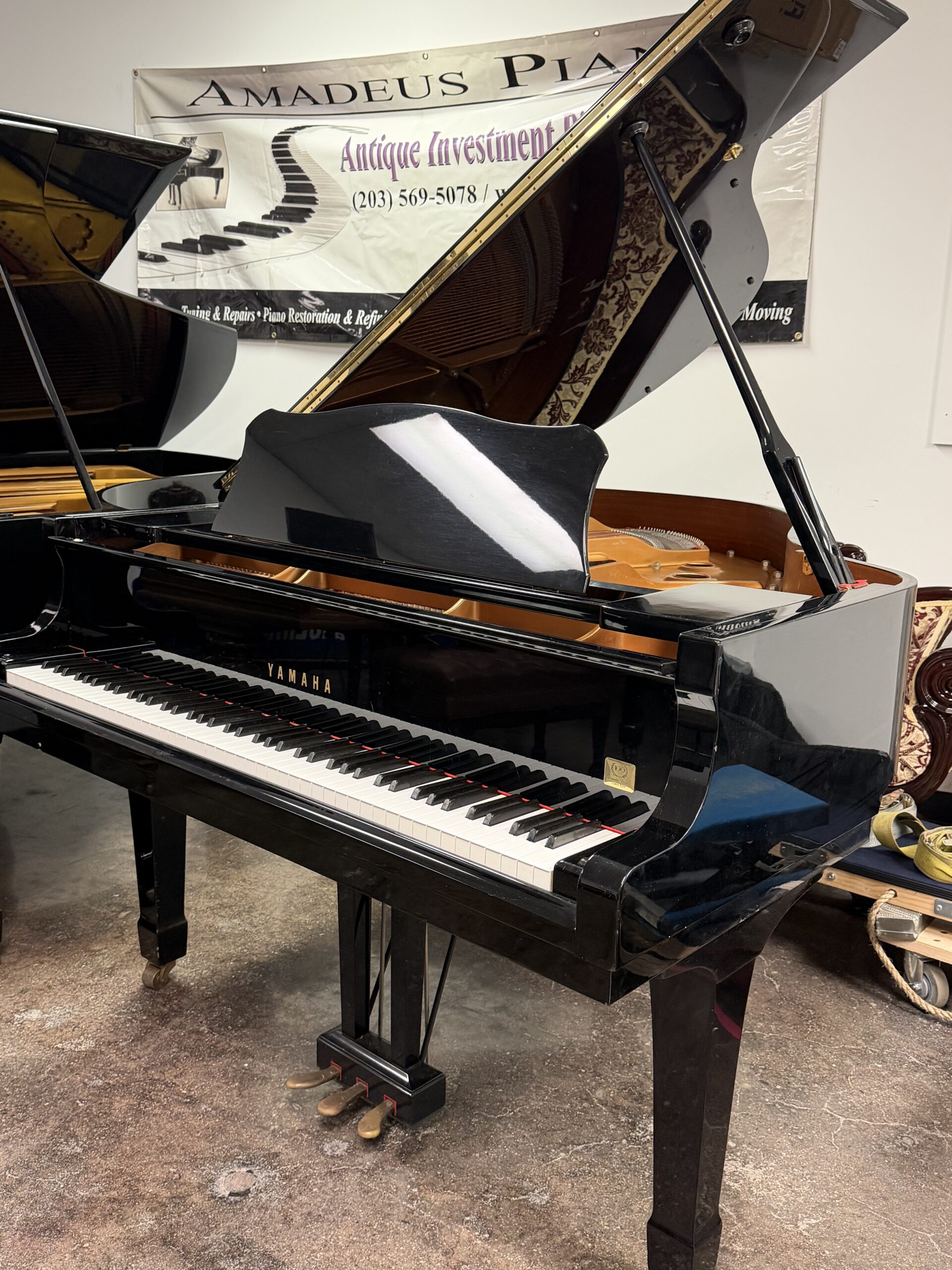 Yamaha C1 5871456 Ebony Gloss - Image 2
