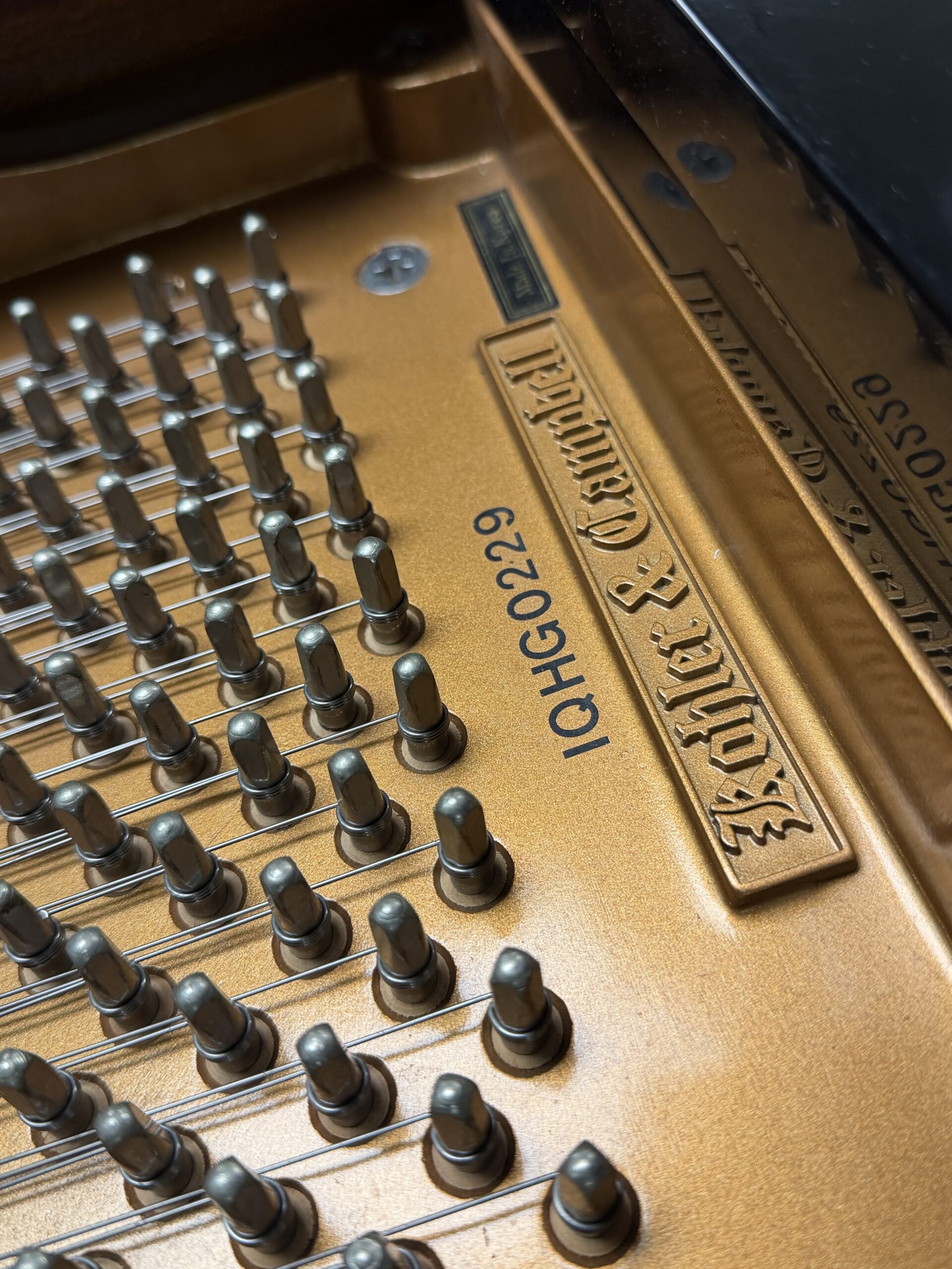 Kohler & Campbell SKG-500S - Image 4